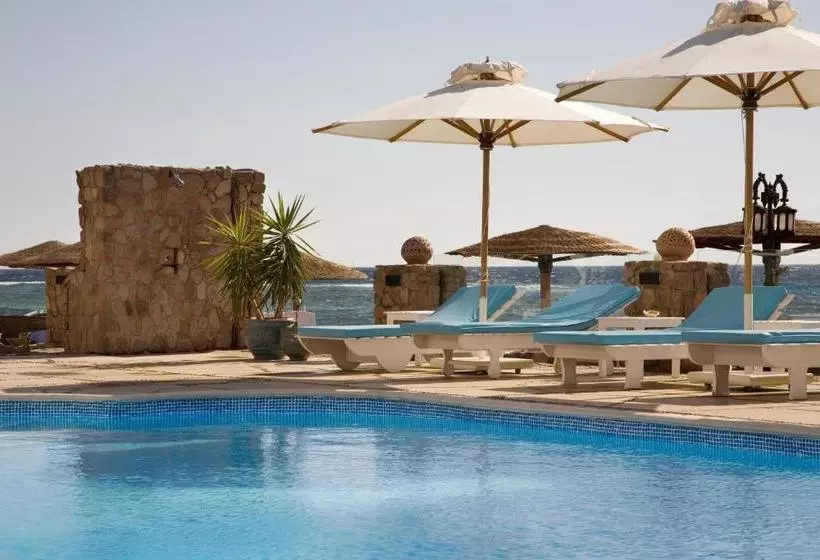 Fotos del hotel Coral Coast:  9