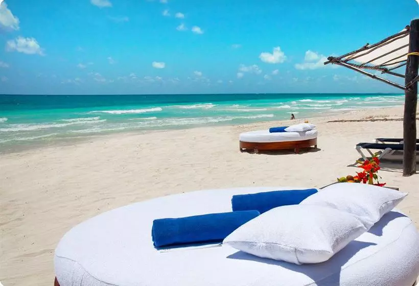 Fotos del hotel Las Ranitas Eco Boutique:  6