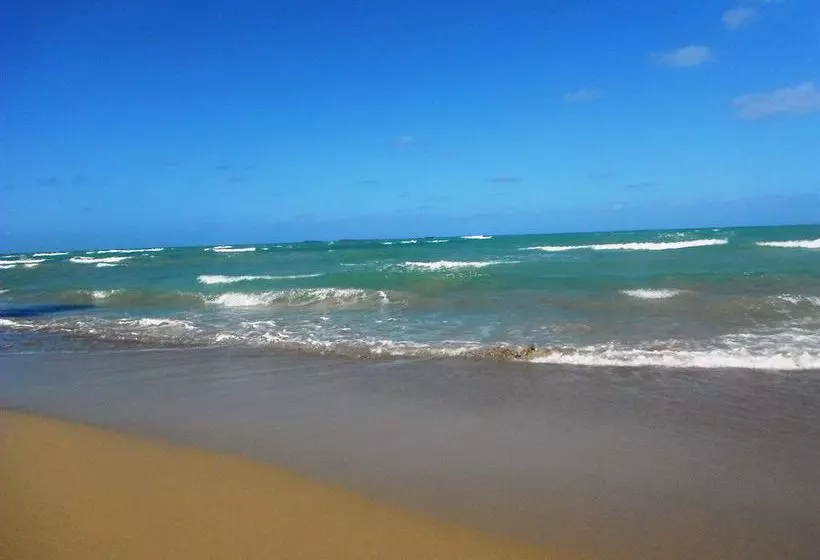 Fotos del hotel Arena Dorada:  19