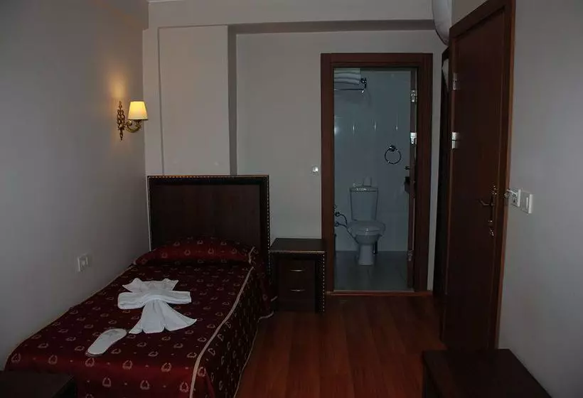 Fotos del hotel Malabadi Beyazit:  21