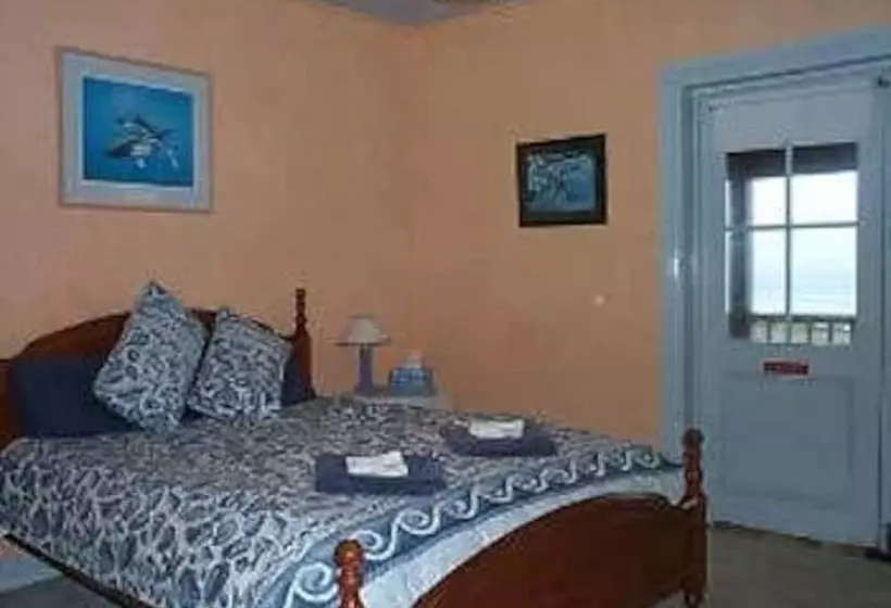 Fotos del hotel Cape Bridgewater Sea View Lodge:  2
