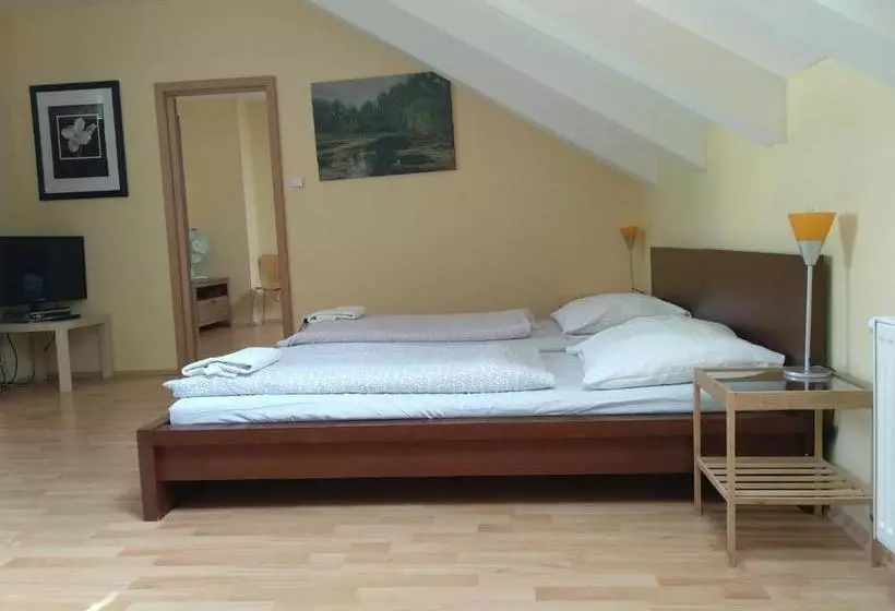 Fotos del hotel Residence Pinkas Prague:  12