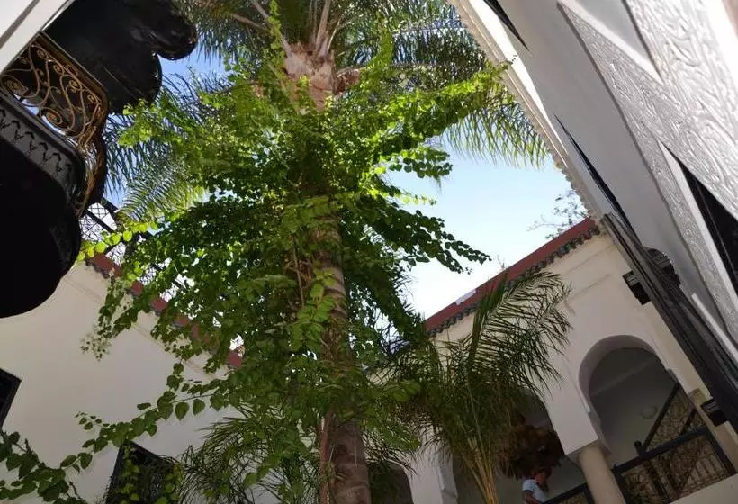 Fotos del hotel Riad Dar Jaguar:  10