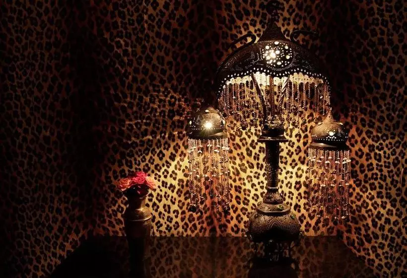 Fotos del hotel Riad Dar Jaguar:  9