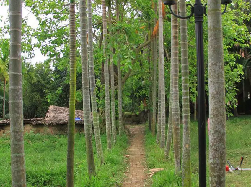 Fotos del hotel Waterside Resort & Spa Hoi An:  7