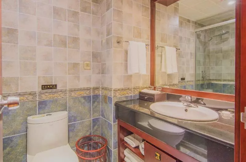 Fotos del hotel China Southern Sky Pearl Express:  5