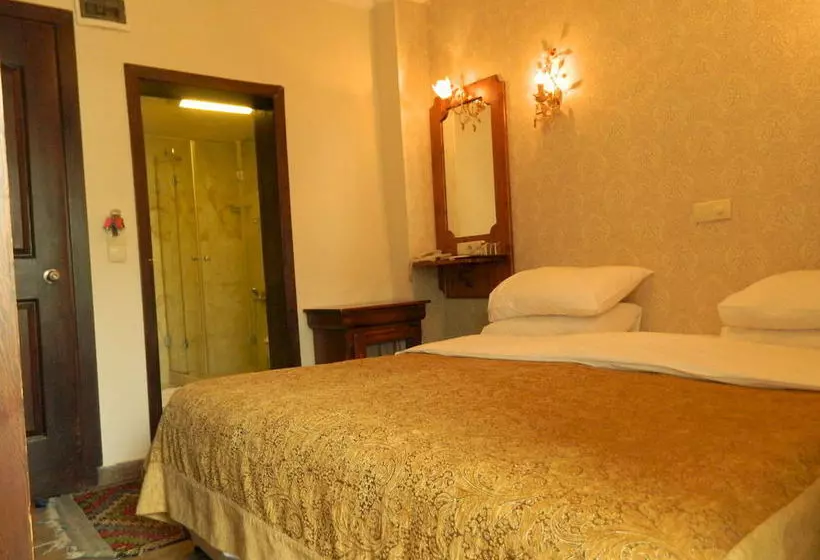 Fotos del hotel Apricot Hotel Istanbul:  18