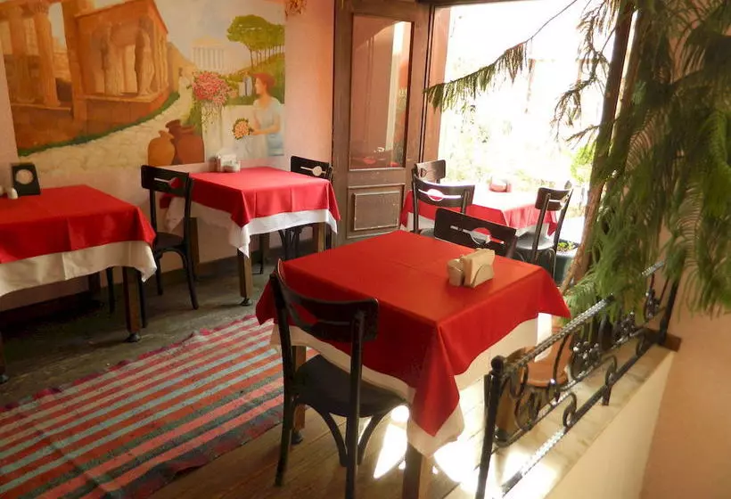 Fotos del hotel Apricot Hotel Istanbul:  8