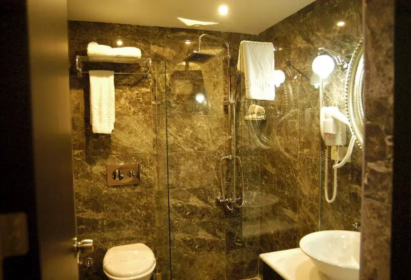 Fotos del hotel Comfort Elite Hotel Sultanahmet:  11