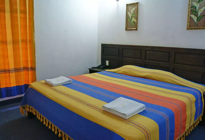 Fotos del hotel Plaza Santo Domingo:  8