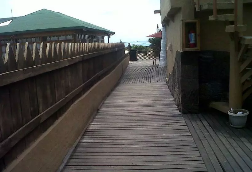 Fotos del hotel Red Mangrove Lodge Isabela:  3