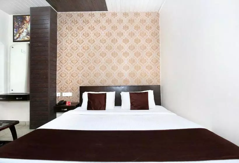 Fotos del hotel Hotel Ds Regency By OYO Rooms:  15