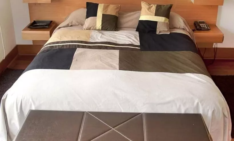 Fotos del hotel Austral Suites:  12