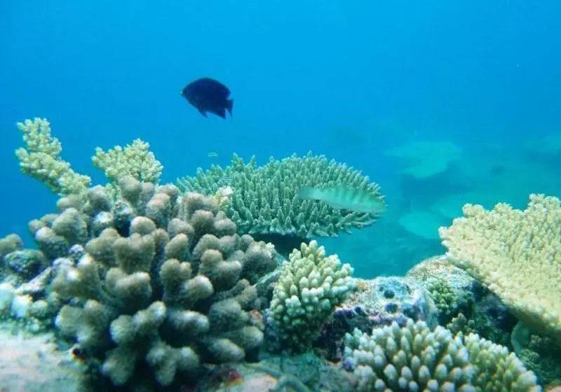 Fotos del hotel Lvis Boutique:  4