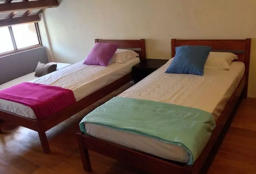 Fotos del hotel Lang Hoose:  24