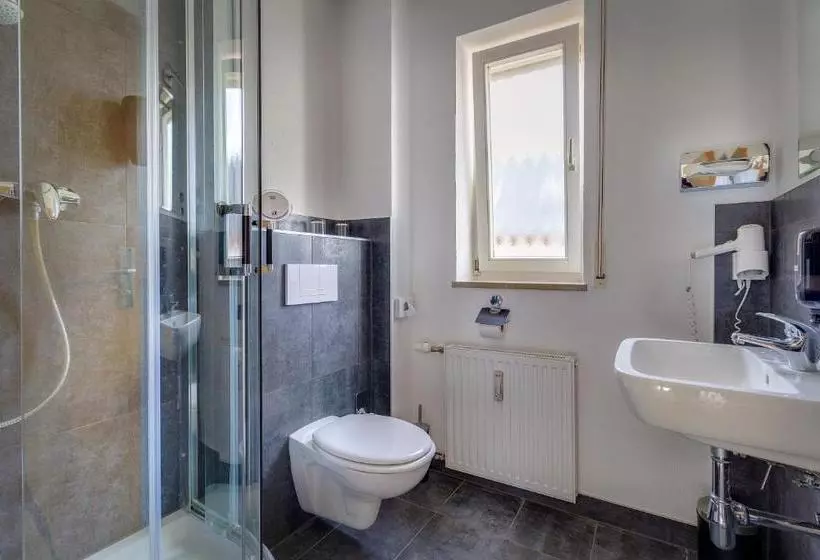 Fotos del hotel Dübener Heide:  11