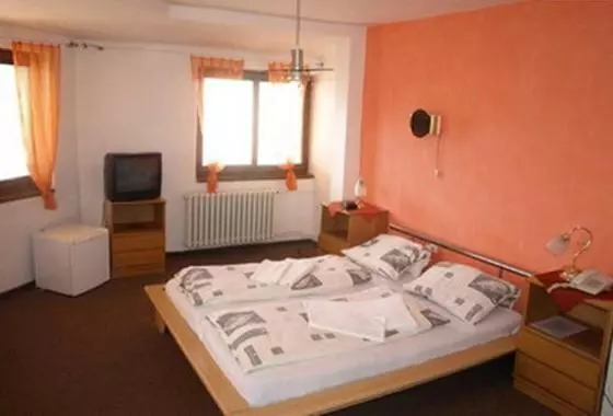 Fotos del hotel Slovan:  3