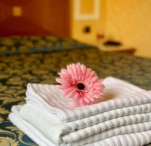 Fotos del hotel Amalia Vaticano:  15