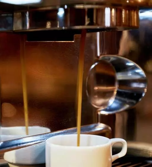 Fotos del hotel Excelsior:  8