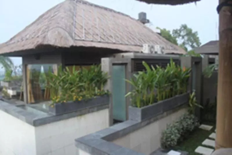 Fotos del hotel Bali Elephant Boutique Villa:  4
