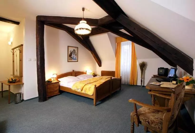 Fotos del hotel Malý Pivovar:  2