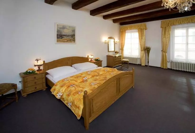 Fotos del hotel Malý Pivovar:  8