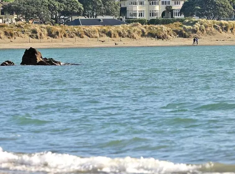 Fotos del hotel Beachfront Wellington Bed And Breakfast:  15