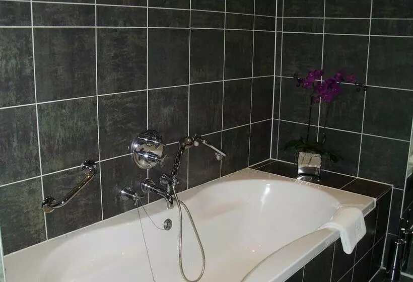 Fotos del hotel Felix:  4