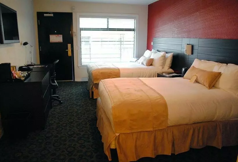 Fotos del hotel Da Vinci Villa:  19