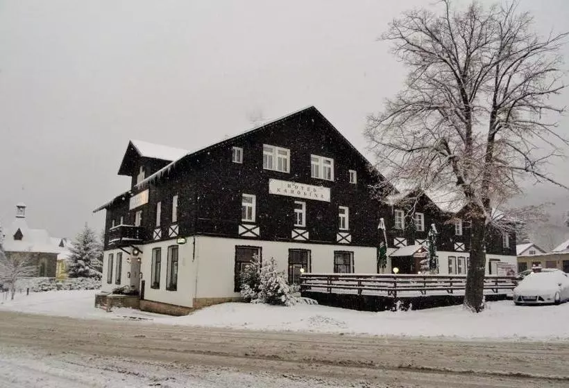 Fotos del hotel Karolina:  13