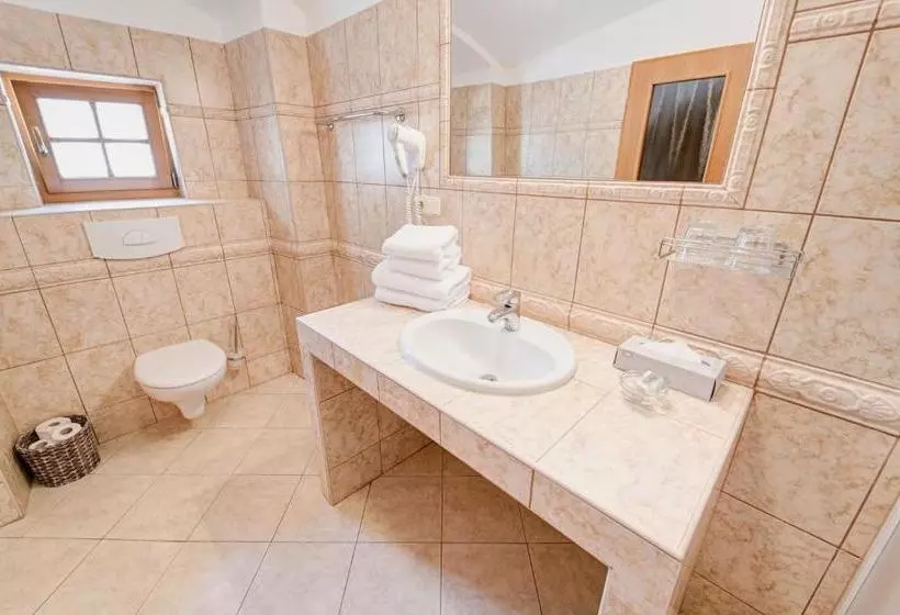 Fotos del hotel Rodinný Pension Antoni:  4