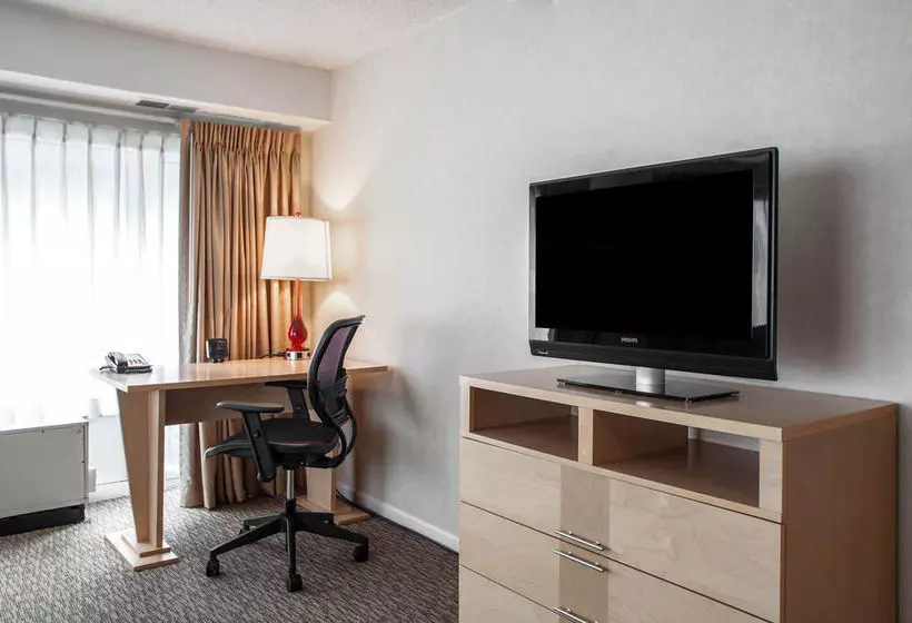 Fotos del hotel Comfort Suites Michigan Avenue - Loop:  8