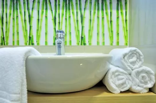 Fotos del hotel Rebro:  13