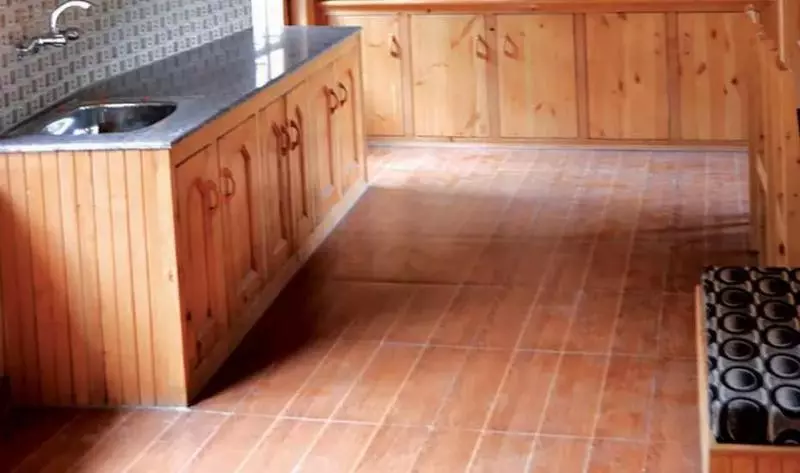 Fotos del hotel Hotel Manali Continental:  4