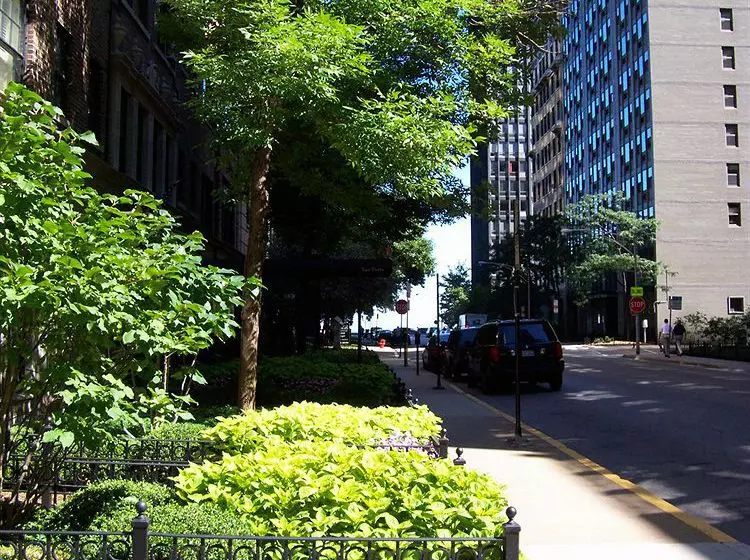 Fotos del hotel Dewitt Hotel & Suites:  6