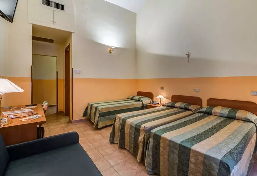 Fotos del hotel Domus Carmelitana:  20