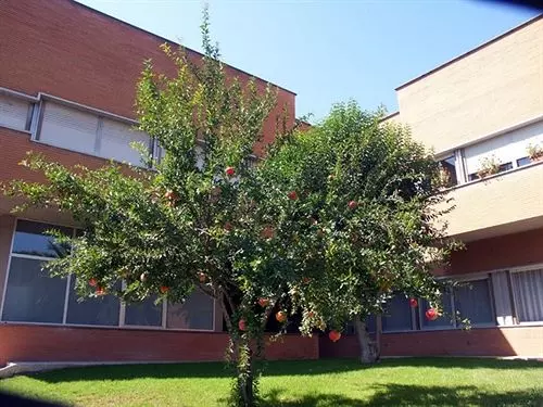 Fotos del hotel Salesianum:  12