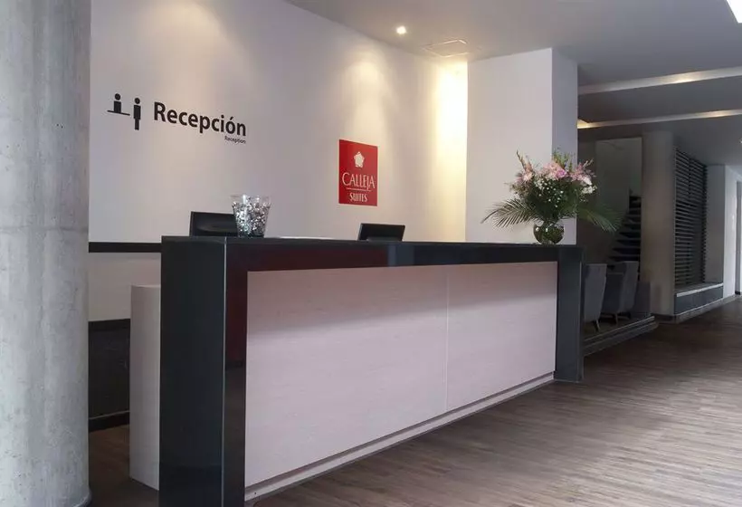 Fotos del hotel Best Western Calleja Suites:  3