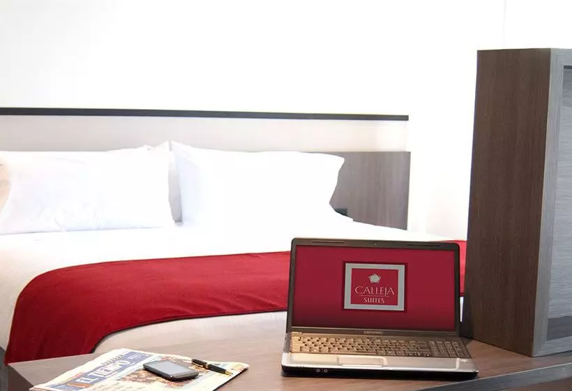 Fotos del hotel Best Western Calleja Suites:  15