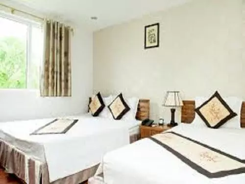 Fotos del hotel Hanoi Apple:  14