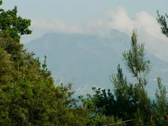 Fotos del hotel Residenza Le Rose Villa D Arte:  3