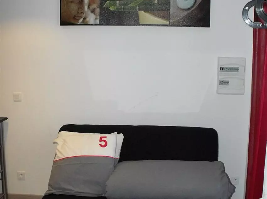 Fotos del hotel La Livrée Du Palais:  9