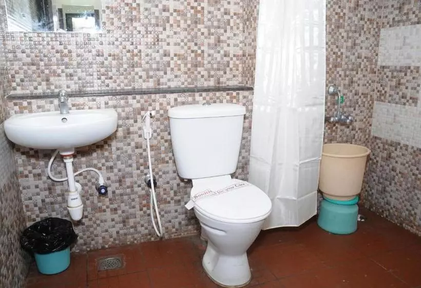 Fotos del hotel Mysore Mayflower:  6