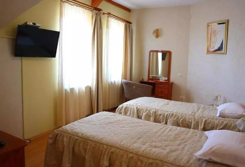 Fotos del hotel Pensiunea Andy:  21