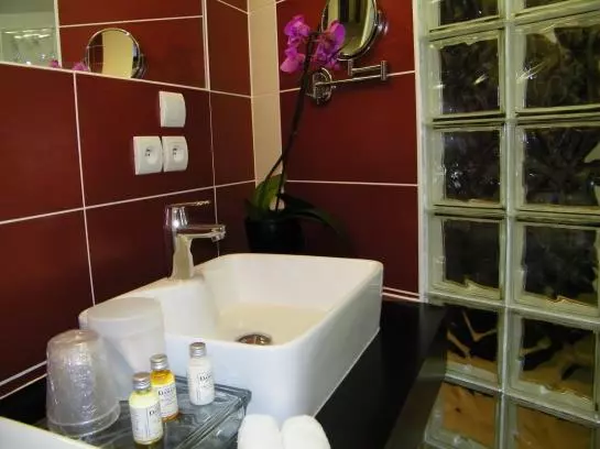 Fotos del hotel Le Pier Toulouse:  18