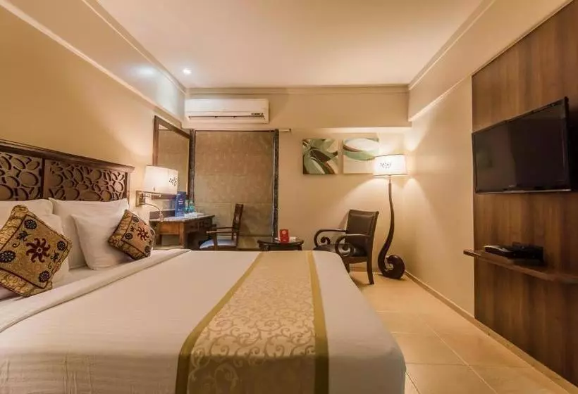 Fotos del hotel Maharaja:  13