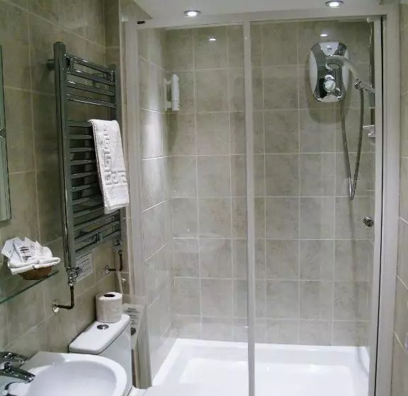 Fotos del hotel The Wilton:  3