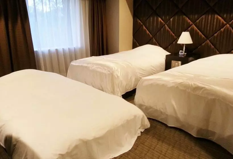 Fotos del hotel Sunline Kyoto Gion Shijyo:  8