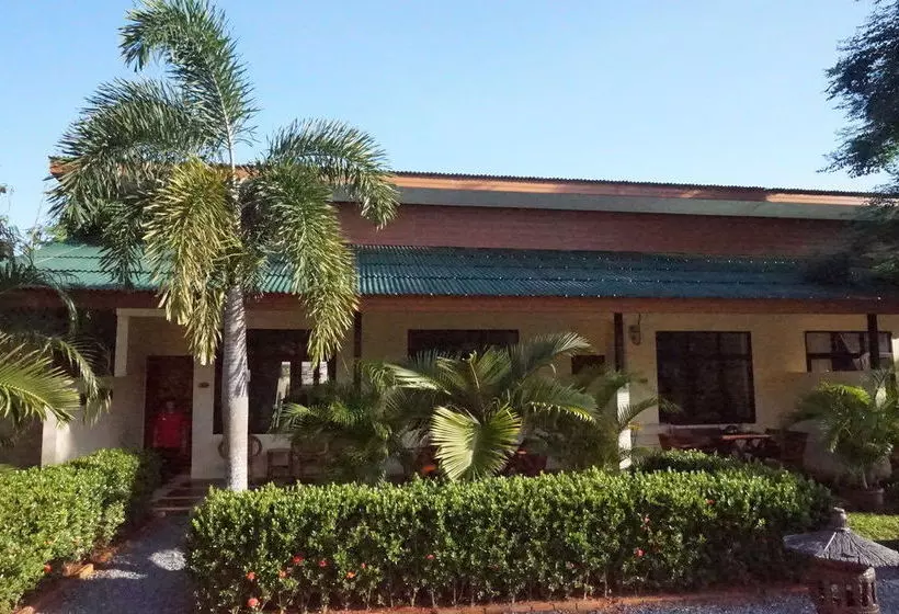 Fotos del hotel Jungle Village Bungalows:  12