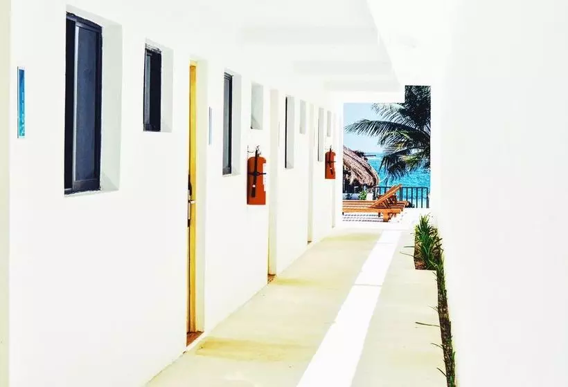 Fotos del hotel Cielo Hotel & Beach Club:  5